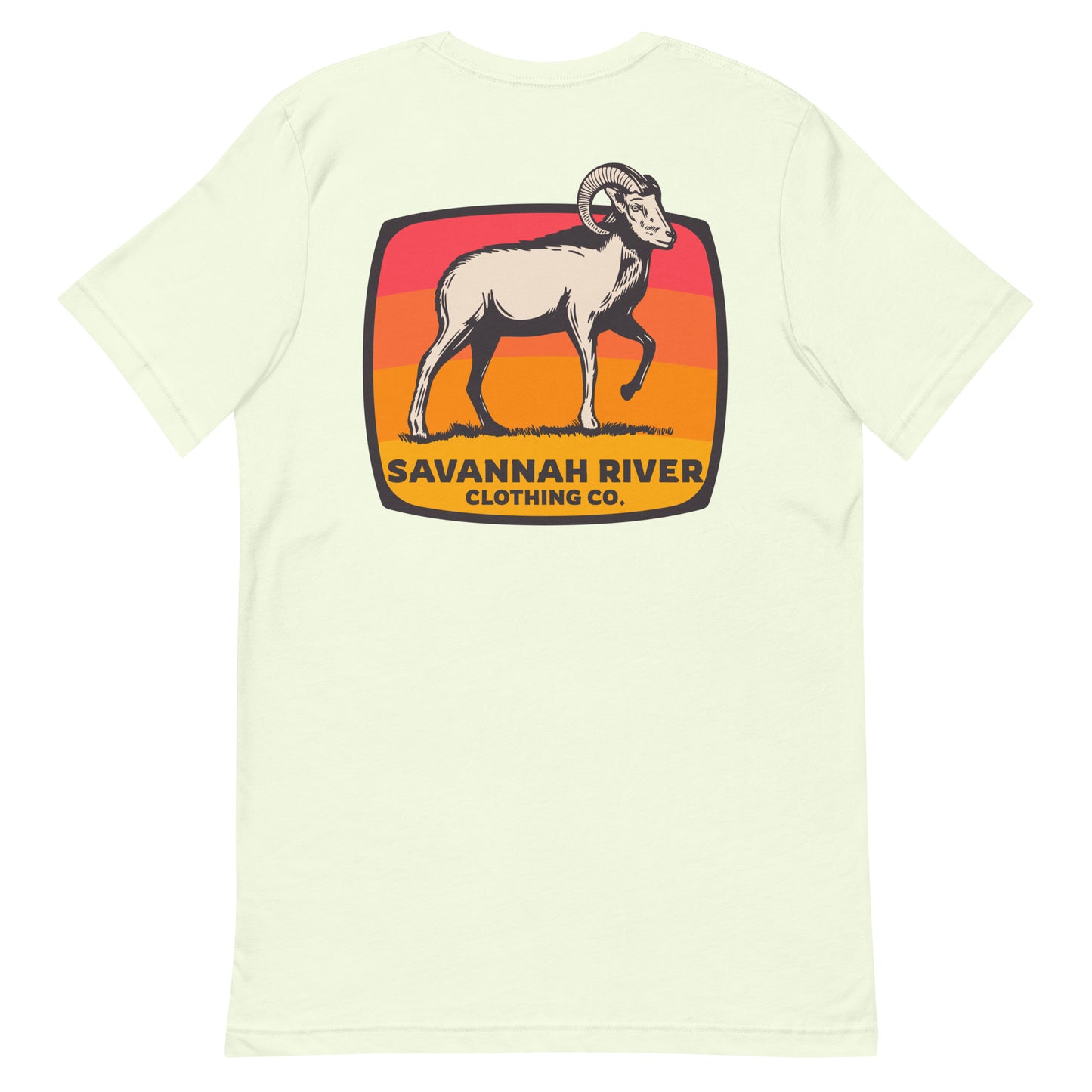 Bighorn